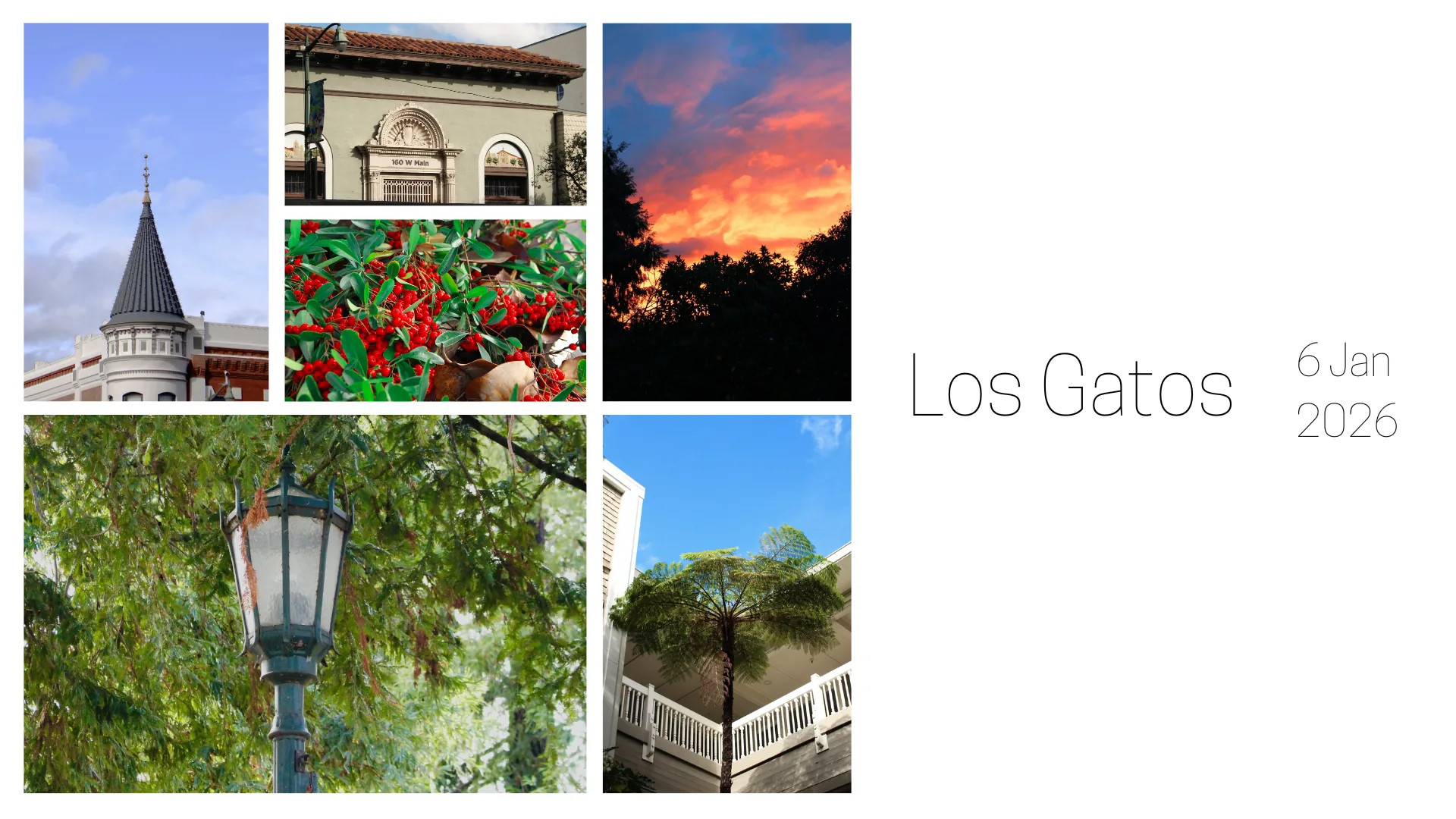 Los Gatos
